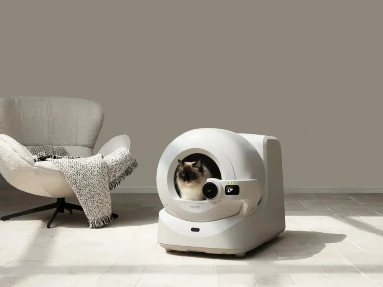 mejores areneros automáticos para gatos